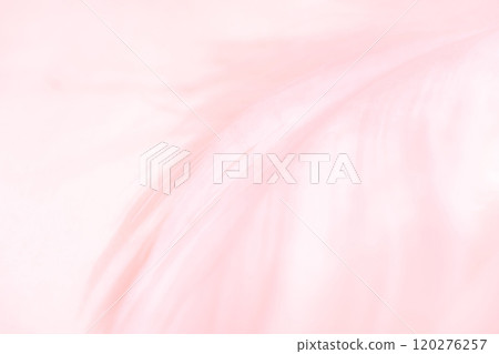 羽毛/蓬鬆背景材料 120276257