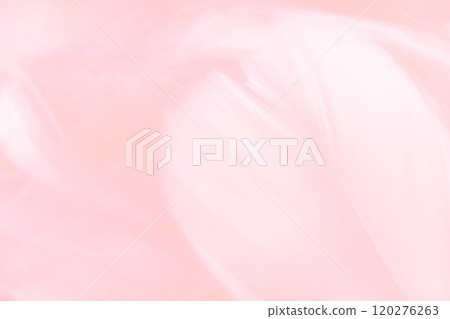 羽毛/蓬鬆背景材料 120276263