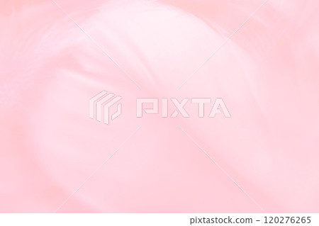 羽毛/蓬鬆背景材料 120276265