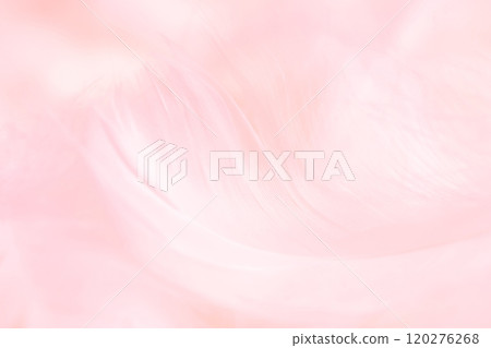 Feathers and fluffy background material 120276268