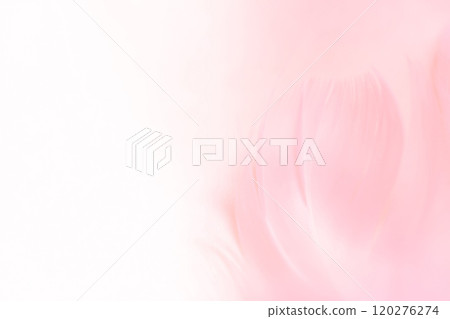 羽毛/蓬鬆背景材料 羽毛/蓬鬆背景材料 120276274