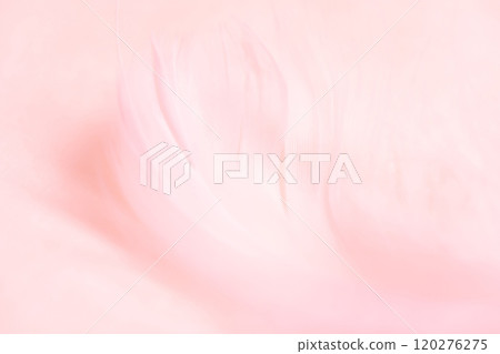 羽毛/蓬鬆背景材料 120276275