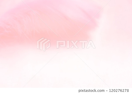 Feathers and fluffy background material Feathers and fluffy background material 120276278