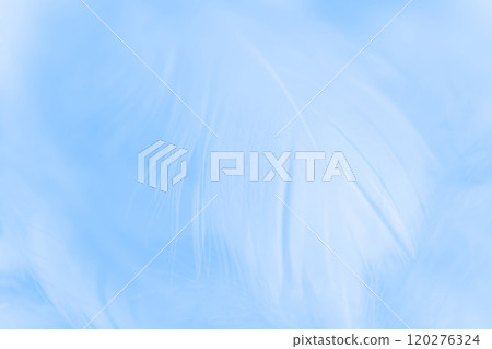 Feathers and fluffy background material 120276324