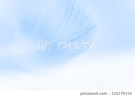 Feathers and fluffy background material 120276334
