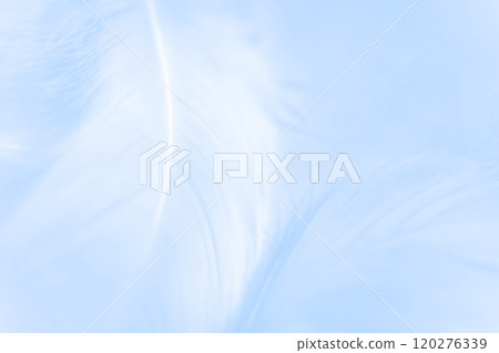 Feathers and fluffy background material 120276339