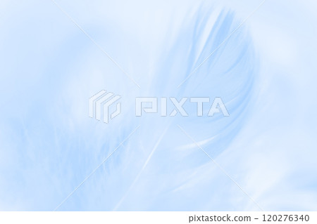 Feathers and fluffy background material Feathers and fluffy background material 120276340