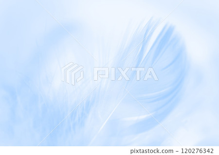 Feathers and fluffy background material Feathers and fluffy background material 120276342