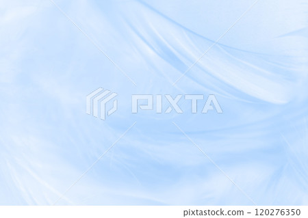 羽毛/蓬鬆背景材料 120276350