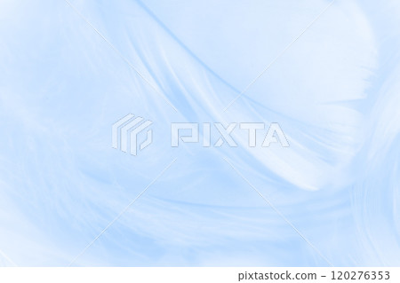 羽毛/蓬鬆背景材料 120276353