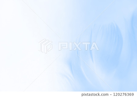 羽毛/蓬鬆背景材料 羽毛/蓬鬆背景材料 120276369