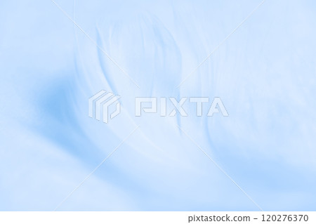 羽毛/蓬鬆背景材料 120276370