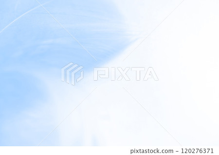 羽毛/蓬鬆背景材料 120276371