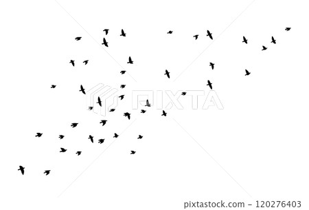 Flying birds silhouette flock. hand drawing. Not AI. Vector illustration 120276403