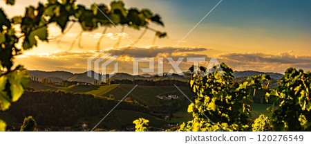 Panorama of Vineyards along the South Styrian Wine Road in Summer, Austria Europe 120276549