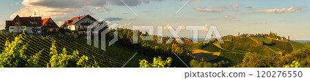 Panorama of Vineyards along the South Styrian Wine Road in Summer, Austria Europe 120276550