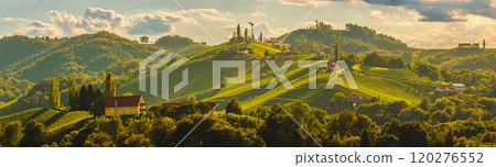 Panorama of Vineyards along the South Styrian Wine Road in Summer, Austria Europe Panorama of Vineyards along the South Styrian Wine Road in Summer, Austria Europe 120276552