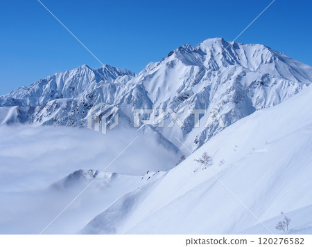 從八方尾根看到的冬天的五龍山和鹿島矢岳 120276582