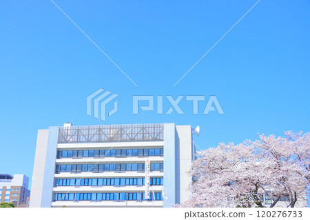 Seto City, Aichi Prefecture, scenery of cherry blossoms and Seto City Hall along the Seto River 120276733