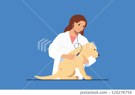 Female veterinarian in white lab coat examining pale yellow Labrador puppy holding a stethoscope to the chest. Design for veterinary services or pet-related concepts. Flat cartoon vector illustration. 120276756