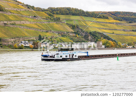 View of the Rhine in Germany 120277000