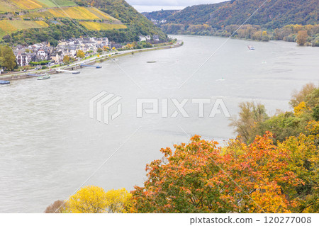 View of the Rhine in Germany 120277008