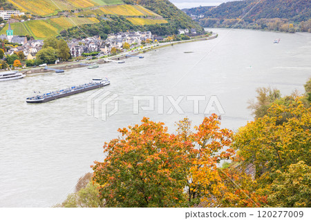 View of the Rhine in Germany 120277009