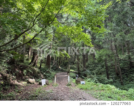 夏季登山道入口（常山*富山縣立山町） 120277063