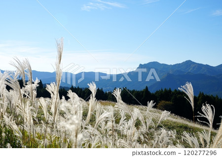 View of the surrounding mountains and silver grass from the Soni Plateau [November] 120277296