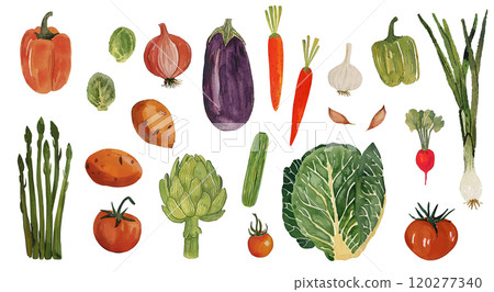 Vegetables watercolor drawing set, different harvest natural products. Carrots, eggplant, onions, bell peppers 120277340