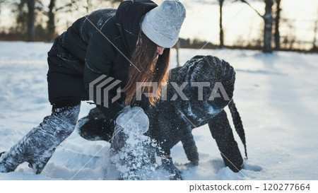 Young girlfriends are sprinkled with snow in a game of winter in the snow. Young girlfriends are sprinkled with snow in a game of winter in the snow. 120277664