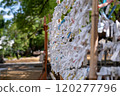 Omikuji 120277796