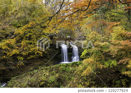 秋葉Kaneyama的秋天 120277924