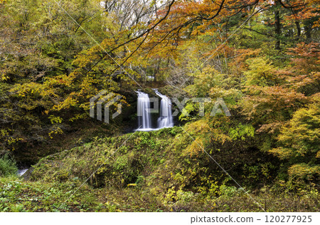 Falls of Kaneyama of autumn leaves Falls of Kaneyama of autumn leaves 120277925