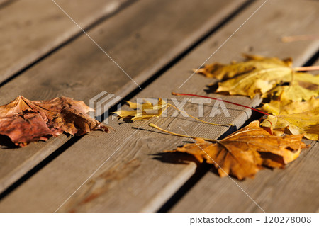 Autumn leaves scattered on wooden deck capture the essence of fall during a sunny afternoon Autumn leaves scattered on wooden deck capture the essence of fall during a sunny afternoon 120278008