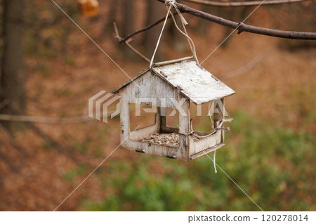 Rustic bird feeder nestled in a serene forest showcasing natures tranquility during autumn days 120278014