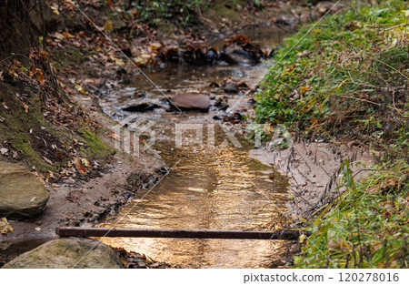 A serene creek winding through lush greenery in autumn reflects golden hues during a peaceful afternoon 120278016