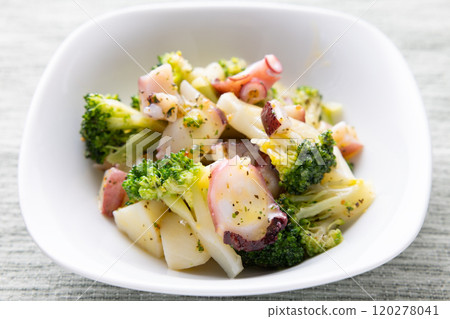 美味的章魚羅勒沙拉 120278041