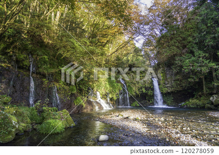 秋天城堡馬秋天 120278059