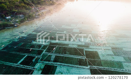 Sea weed farm at Lembongan island in Indonesia with morning light and fog. Aerial view 120278170
