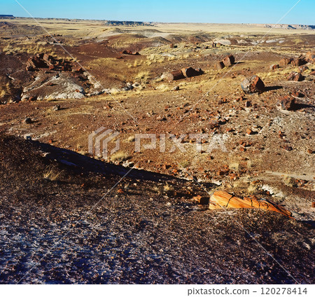 Bleak Landscape Petrified Forest National Park Arizona on Film 120278414
