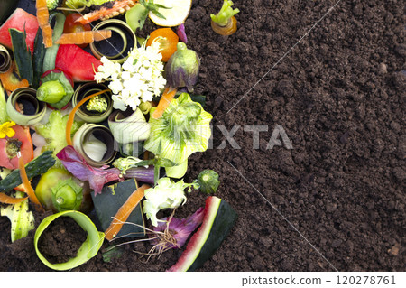 Vegetable and fruit waste from cooking on the ground. Compost. The concept of zero waste. 120278761