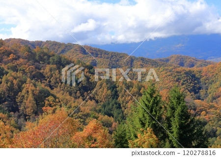《長野縣》地藏山口木曾町開田高原 《長野縣》地藏山口木曾町開田高原 120278816