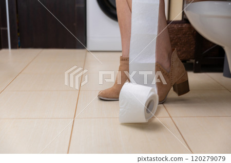 An Unexpected Discovery of a Roll of Toilet Paper Unexpectedly Found in the Bathroom Space An Unexpected Discovery of a Roll of Toilet Paper Unexpectedly Found in the Bathroom Space 120279079