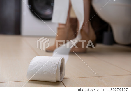 An Essential Toilet Paper Moment that Occurs in the Comfort of a Home Bathroom Space An Essential Toilet Paper Moment that Occurs in the Comfort of a Home Bathroom Space 120279107