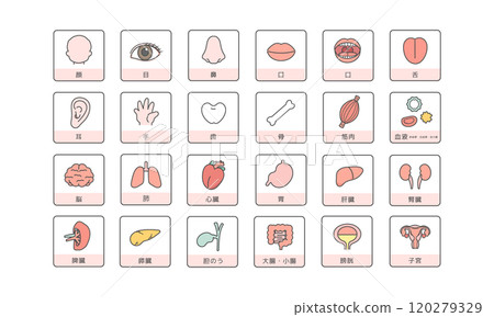 人體大腦器官內臟身體部位插圖集(附說明) 人體大腦器官內臟身體部位插圖集(附說明) 120279329
