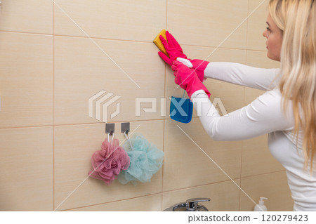 A Woman Engaged in the Task of Thoroughly Cleaning Bathroom Tiles Using Sponges and Gloves A Woman Engaged in the Task of Thoroughly Cleaning Bathroom Tiles Using Sponges and Gloves 120279423