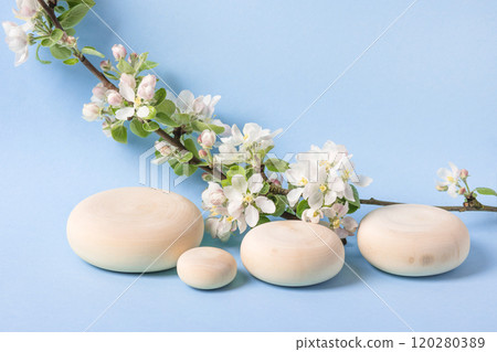 Wood slice podium and and blossoming branches of apple tree on blue background. Concept scene stage showcase for new product, banner, promotion sale, cosmetic, presentation 120280389