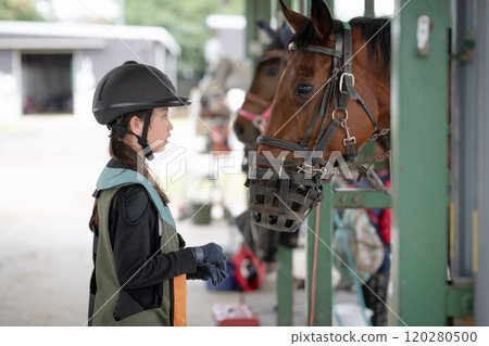 Horse and child looking at each other 120280500