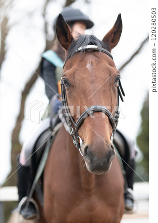 Girls enjoying horseback riding Girls enjoying horseback riding 120280503